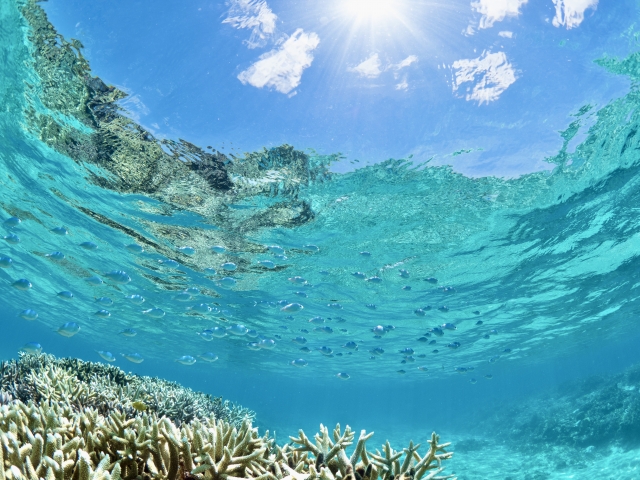 朝ドラ宮沢氷魚の読み方は？名前の由来と意味を調査！