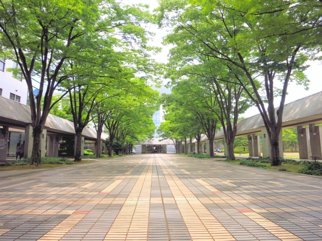 大空幸星は本名？生い立ちや学歴・プロフィールを調査