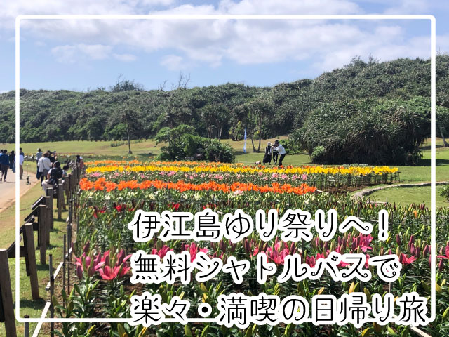 伊江島ゆり祭りへ！無料シャトルバスで楽々・満喫の日帰り旅